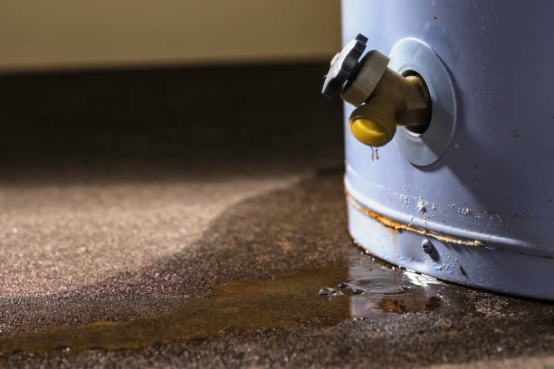 Best 24/7 water damage repair  in Schleswig, IA