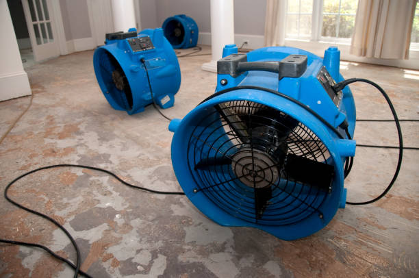 Best Flood restoration services  in Schleswig, IA