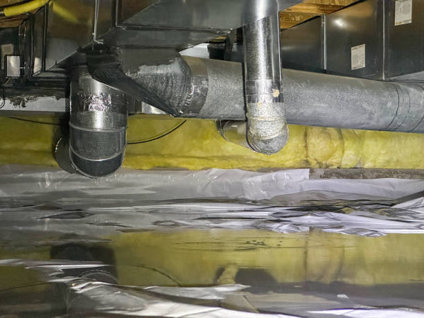 Best Water damage cleanup near me  in Schleswig, IA