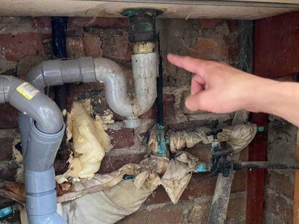 Best Flood damage cleanup  in Schleswig, IA