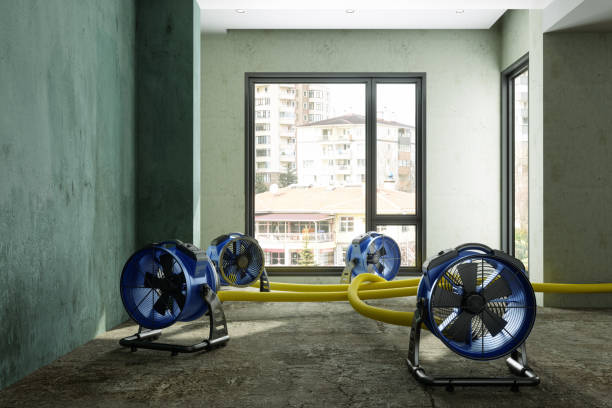 Best Water damage restoration company  in Schleswig, IA