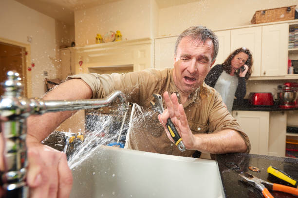 Best Carpet water damage restoration  in Schleswig, IA